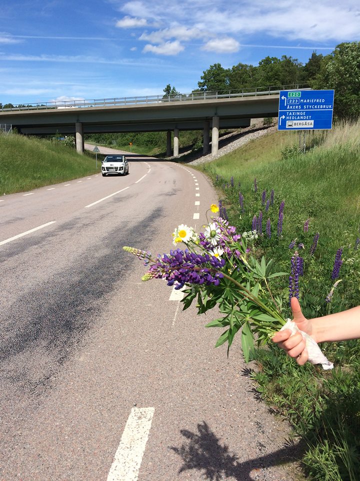 Liftande hand med blomster bukett